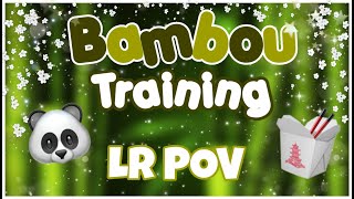 Bambou Training 1  TRAINEE POV [upl. by Cathy722]