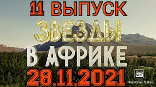 ЗВЁЗДЫ В АФРИКЕ11 ВЫПУСК ОТ 28112021ПРЕМЬЕРА👫 ПОМОЩЬ ВЕДУЩЕГО ШОК СМОТРЕТЬ НОВОСТИШОУ НА ТНТ [upl. by Janek]