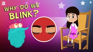 Why Do We Blink  The Dr Binocs Show  Best Learning Videos For Kids  Peekaboo Kidz [upl. by Ellerd]