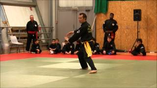 Kung Fu Vietnamien Metz 16112014 [upl. by Htabmas349]