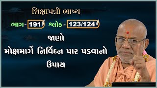 Shikshapatri Bhashya Katha  191  07 Oct 2024  Gyanjivandasji Swami  Kundaldham [upl. by Aihk]