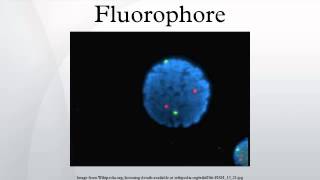 Fluorophore [upl. by Nnylylloh314]