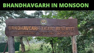 Bandhavgarh National Park In Monsoon  बांधवगढ़ राष्ट्रीय उद्यान बरसात के मौसम में I 19092021 [upl. by Assirrac]