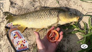 New  Rodless Reel   Site fishing for Carp with Bread  Handline Fishing [upl. by Llehsram]