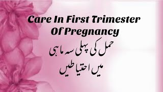 Care In First Trimester Of Pregnancy  Pregnancy Care In First Trimester  Care In First Trimester [upl. by Tallbott]