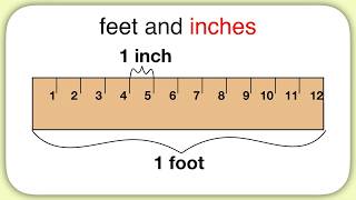 Measurement Feet and Inches [upl. by Atniuqal273]