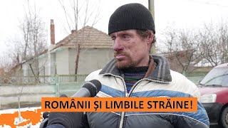 Ce LIMBI STRĂINE vorbesc românii 😛 Cea vrut să spună autorul [upl. by Airpal]