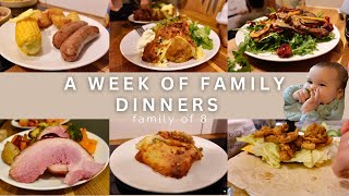 WEEK 70 FAMILY DINNERS OF THE WEEK  family of eight evening meal ideas meal plan🍝🥙 [upl. by Anekahs718]