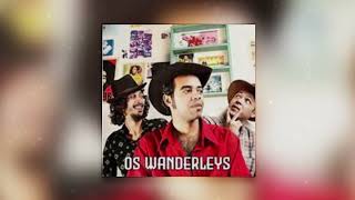 Os Wanderleys  Mete Mete Blues [upl. by Cutty917]