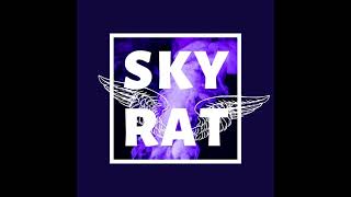 Skyrat Drum amp Bass Mix 004  Slippy Sloppy Slappy Slix [upl. by Keyte]