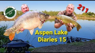 211  Aspen Lake Diaries 15 [upl. by Eceinwahs]