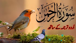 SURAH RAHMAN TARJUMA K SATH  BY QARI Al SHAIKH MUHAMMAD  QURAN TILAWAT BEAUTIFUL VOICE  EP 083 [upl. by Ahsuas]