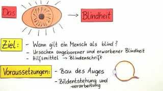 Das Auge  Blindheit  Biologie  Humanbiologie [upl. by Bunns]