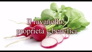 ravanello proprietà e benefici [upl. by Corso]