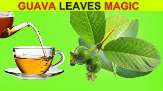 Incredible Benefits of Guava Leaves  11 Reasons To Drink [upl. by Arinaj774]