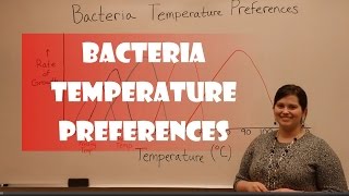 Bacteria Temperature Preferences [upl. by Eelik]