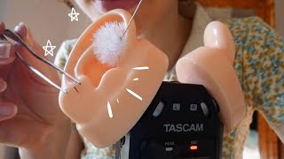 ASMR  Mon Tascam a des Oreilles et elles sont très sales [upl. by Silevi]