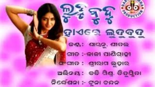 Hey ludu budu sambalpuri song Romantic Oriya Hits [upl. by Nylrac]