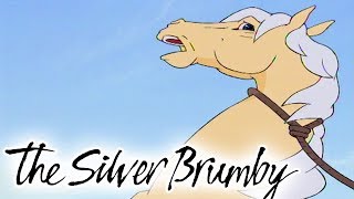 The Silver Brumby  Episode 6  Thowra Is Captured  HD  Full Episode  Videos For Kids [upl. by Adora]