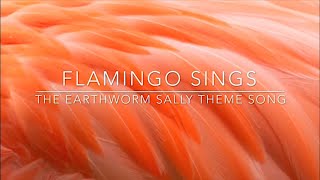 Flamingo SingsThe Earthworm Sally Theme Song [upl. by Conni296]