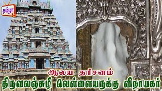 திருவலஞ்சுழி வெள்ளையருக்கு விநாயகர் TamizhaTv  Aalaya Darisanam [upl. by Tfat]