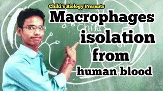 Isolation procedure of macrophages cells from human blood  Immunology👍👍By Chikis Biology [upl. by Addie]