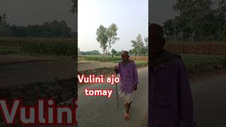 vulini ajo tomay vulini ami shortvideo bhulinitomay moumi cover [upl. by Eimat]