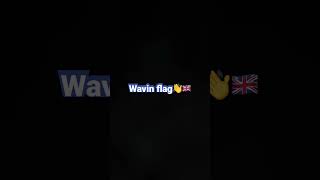 Wavin flag lyrics [upl. by Icam]