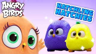 Angry Birds  Hatchling Hatchies Friendship 💓 [upl. by Gordon395]