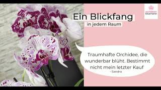 Orchideen bestellt man bei Orchideen Klusmann [upl. by Lower]