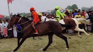 Gardeoyani horse racing live 2024 সরস্বতী পূজা উপলক্ষে গড়দেওয়ানী ঘোড়া দৌড় প্রতিযোগিতা। [upl. by Rosita]