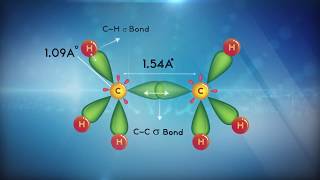 SP3 Hybridization   My Inter Academy [upl. by Nogam833]