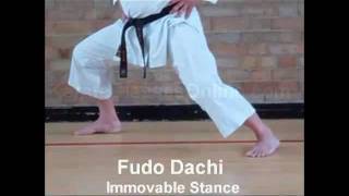 Karate Stances  Shotokan Stances Fudo  Dachi  Immovable Stance [upl. by Enela926]