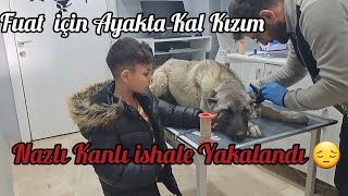 NAZLI DA DURUM KRİTİK FUAT COK ÜZÜLÜYOR 😔😔 [upl. by Anyrak919]