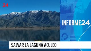 Informe 24 salvar la laguna Aculeo un desafío en comunidad  24 Horas TVN Chile [upl. by Gerik]