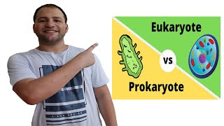 Prokaryotes and Eukaryotes comparison [upl. by Hamfurd]