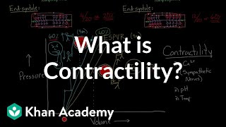 What is contractility  Circulatory system physiology  NCLEXRN  Khan Academy [upl. by Whallon]