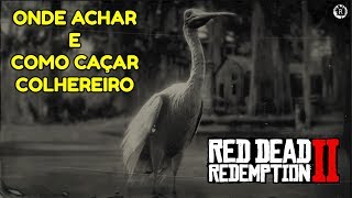 RED DEAD REDEMPTION 2  COMO CAÇAR COLHEREIRO  Dicas [upl. by Oilla]