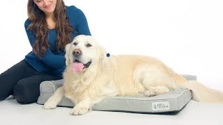 PetFusion BetterLounge in Solid Memory Foam [upl. by Hares]