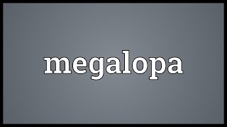 Megalopa Meaning [upl. by Ahsirat]