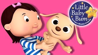 Little Puppy Song  Nursery Rhymes for Babies by LittleBabyBum  ABCs and 123s [upl. by Lahcar]