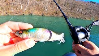 New Swimbait gets DESTROYED by Trout in River [upl. by Anama]