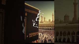 Hasbi Rabbi JALLALLAH  Turkish version  Islamic short viral [upl. by Tannen890]