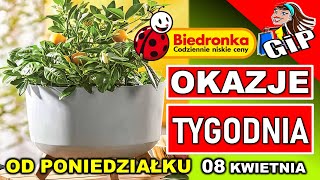 BIEDRONKA  Gazetka Promocyjna od Poniedziałku 08042024  Wiosna i Biedronka to dobre połączenie [upl. by Fin]