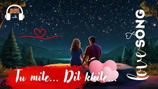 Tu Mile Dil Khile  New Hindi Songs [upl. by Agnot]