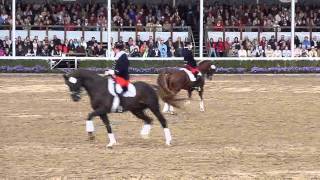 Hengstparade 2011 in Warendorf [upl. by Eceinhoj149]