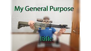 My Favorite General Purpose Rifle Build So Far [upl. by Maximilianus]