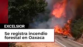 Se registra incendio forestal en zona de Oaxaca [upl. by Ecnatsnok]