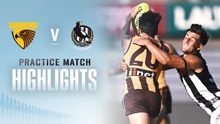 Hawthorn v Collingwood Highlights  Practice Match 2023  AFL [upl. by Furey951]