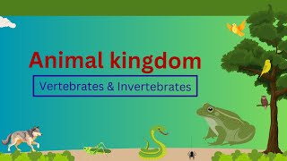 Classification of Vertebrates amp Invertebrates  Animal kingdom  Grade 7 [upl. by Asilrak]